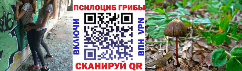 сколько стоит  Мещовск  Галлюциногенные грибы прущие грибы 