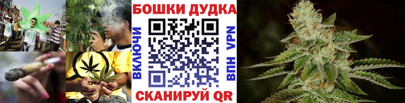 Бошки Шишки семена  сколько стоит  Мещовск 